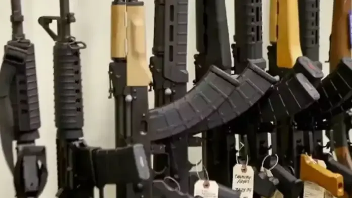 Milei autoriza la compra y la tenencia de armas semiautomáticas